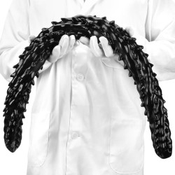 Deepleasure Gode Big Silur 80 x 6.5cm Noir